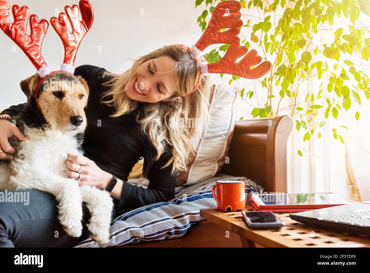 Adult muzzle of deer hires stock photography and images Alamy