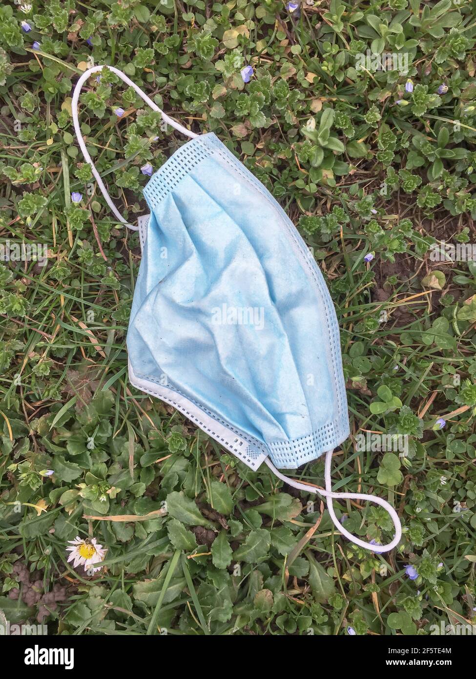 Surgical face mask abandoned on the ground into grass. Coronavirus covid-19 pandemic. Stock Photo