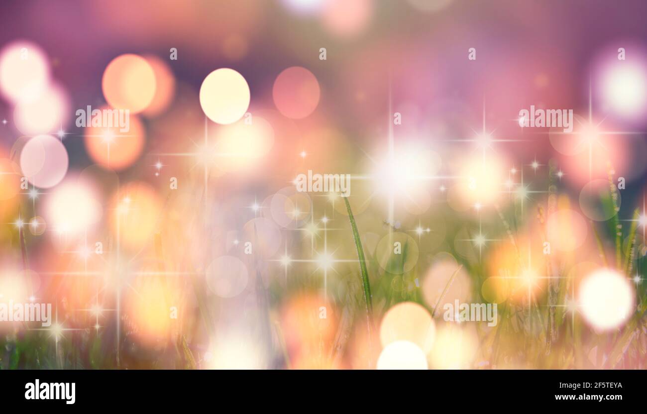 Abstract blurred nature background. Grass and bokeh background. Stock Photo