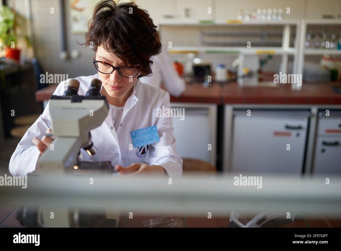 A young female scientist uses the microscope in a working atmosphere in the university laboratory. Science, chemistry, lab, people Stock Photo