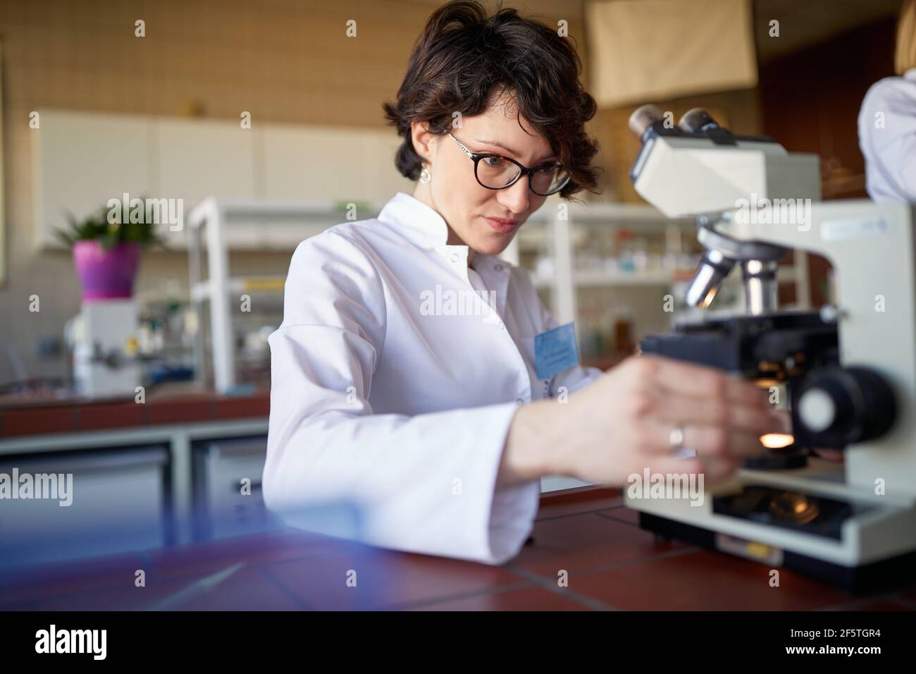 A young female scientist adjusts the microscope in a working atmosphere at the university laboratory. Science, chemistry, lab, people Stock Photo