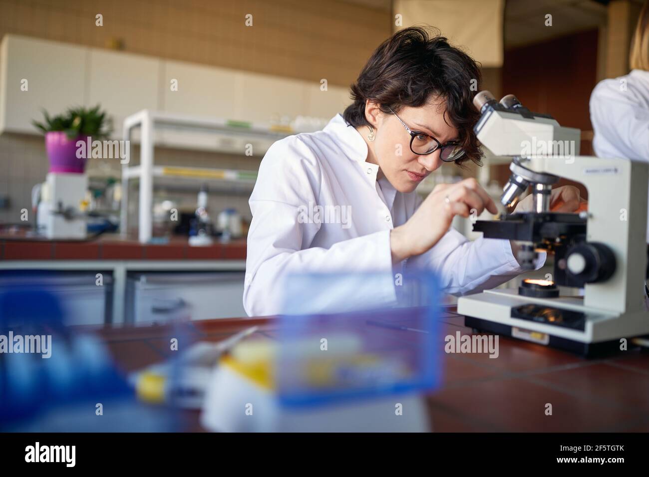 A young female scientist puts sample to the microscope in a working atmosphere at the university laboratory. Science, chemistry, lab, people Stock Photo