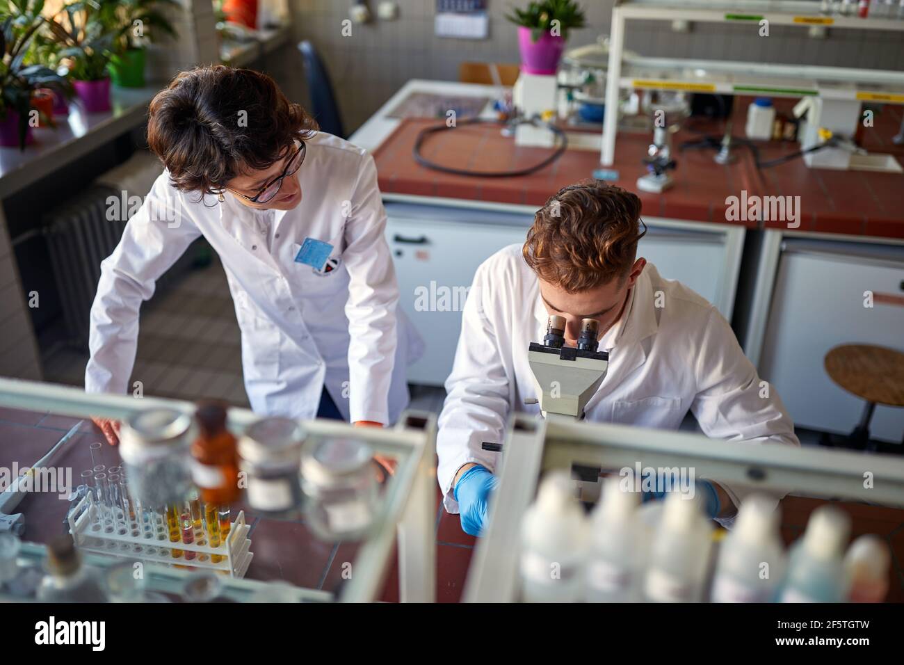 Young colleaugues work in a working atmosphere at the university laboratory. Science, chemistry, lab, people Stock Photo
