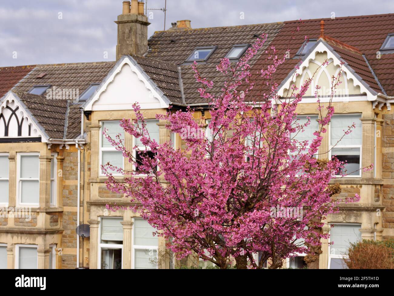 Shakespeare avenue hires stock photography and images Alamy