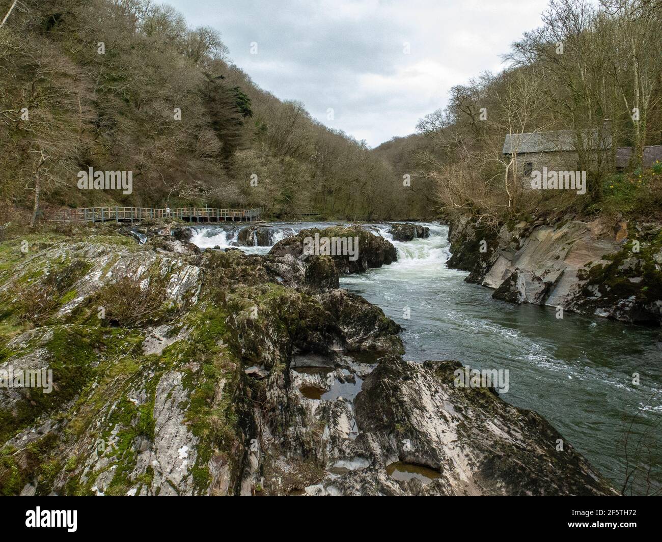 Cenarth Falls Carmarthenshire West Wales - sitting on the border between Cardiganshire, Carmarthenshire and Pembrokeshire Stock Photo