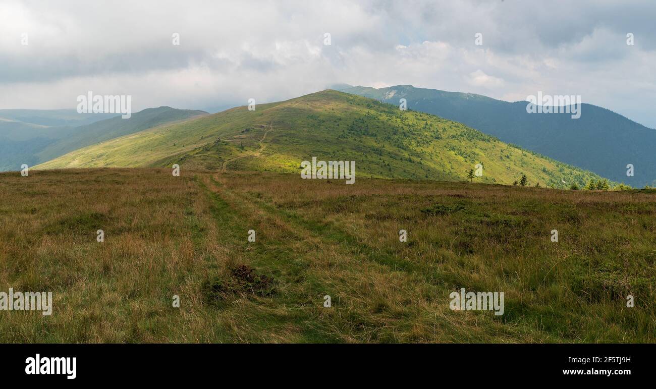 Muntii Valcan mountains in Romania covered by meadows with smaller rocks during cloudy day Stock Photo