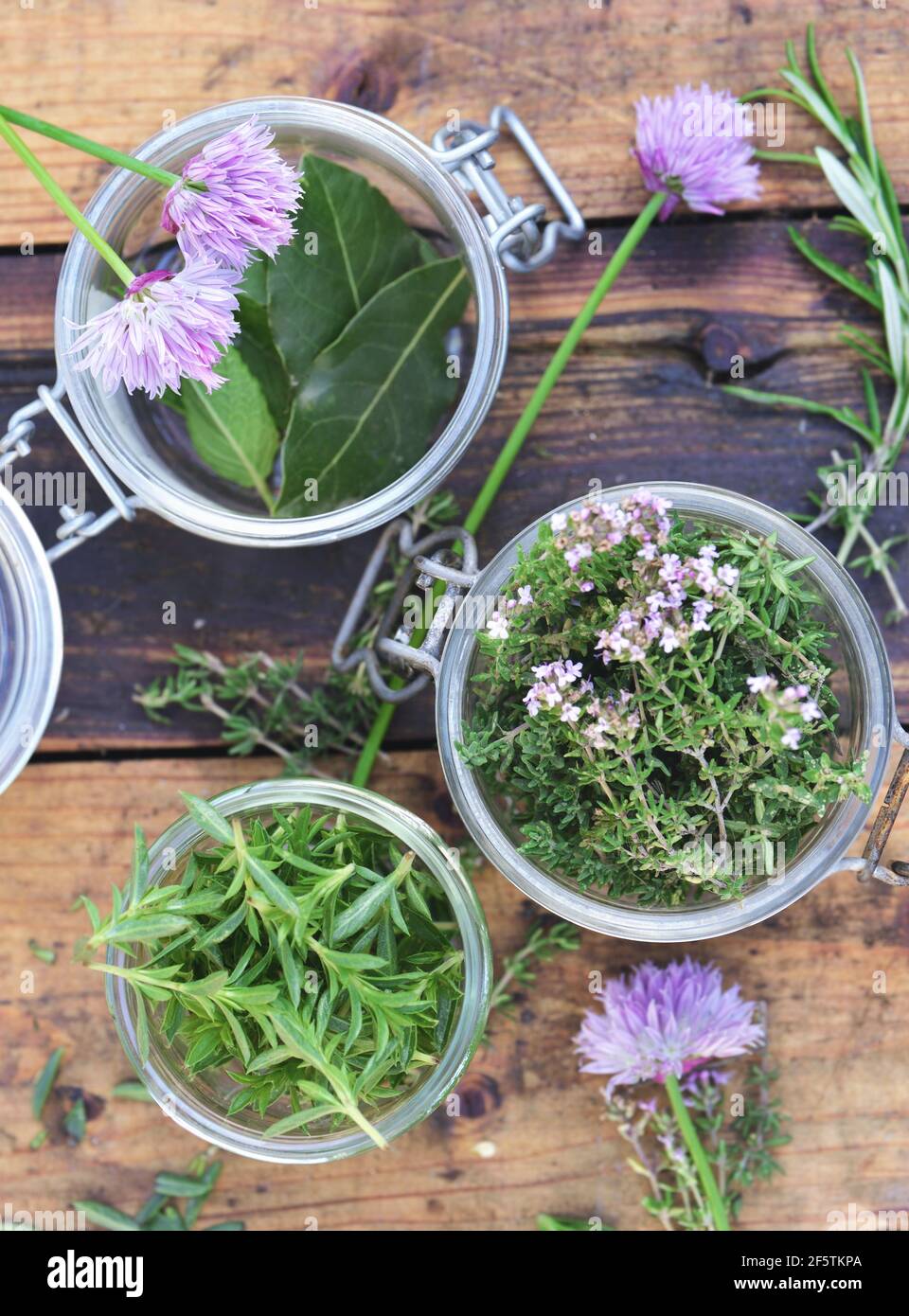 aromatic herbs  in glass jar leaf  and flowers of chive  on a table Stock Photo