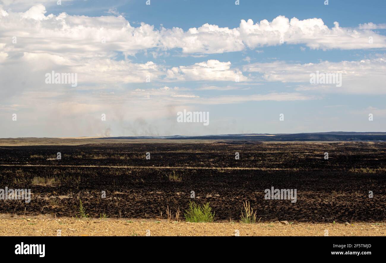 yellow and black field burns and smokes Stock Photo