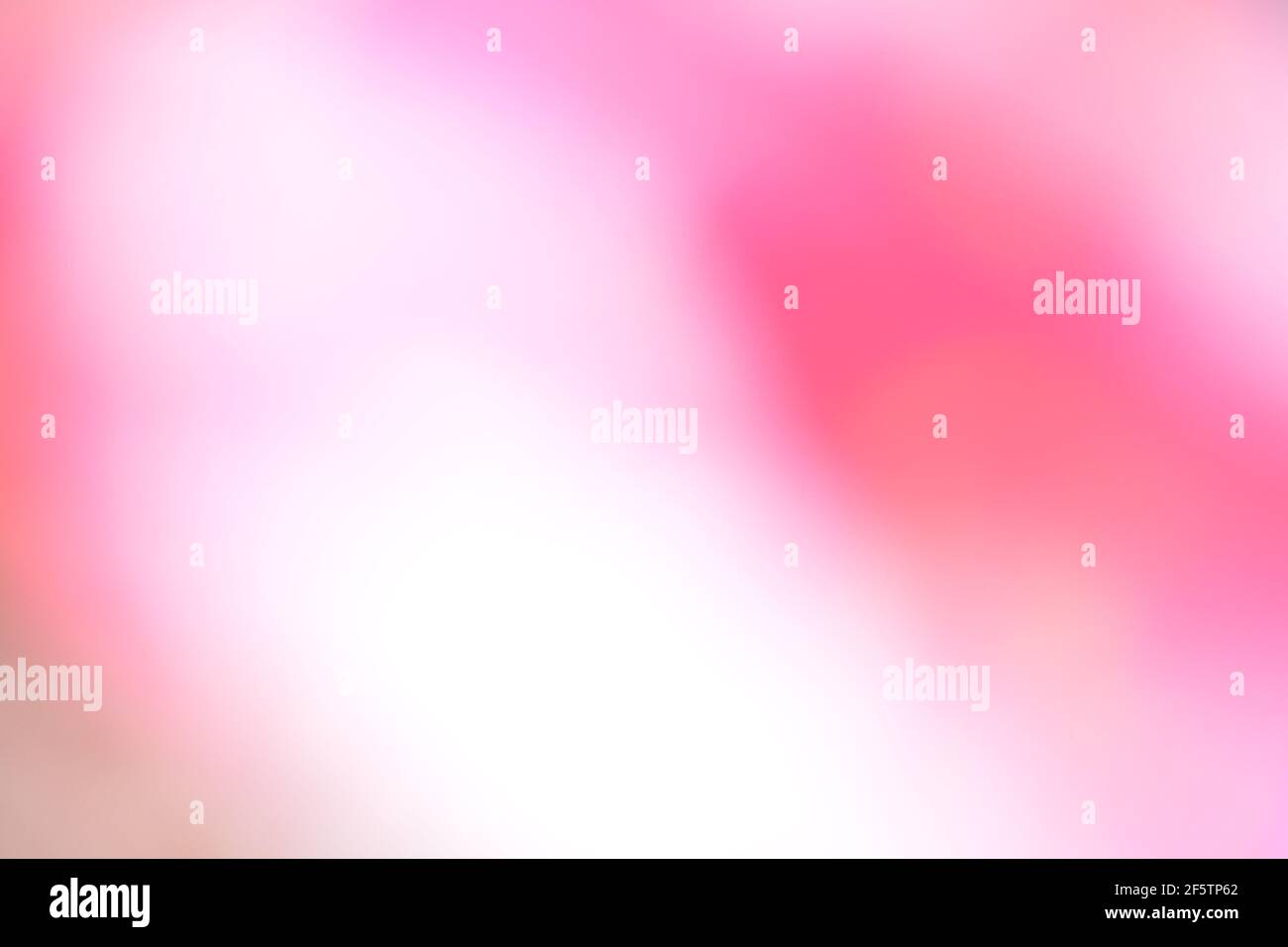 gradient pink and white background for wallpapers and designs, blurred  abstract pink and white gradient pastel light background Stock Photo - Alamy