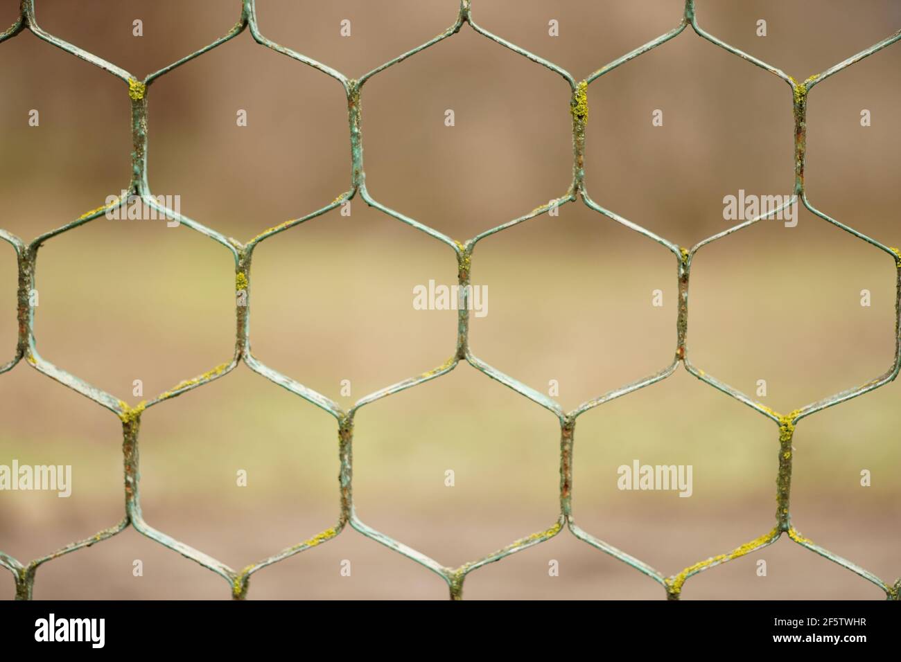old rusty hexagonal mesh fence closeup with blurred bokeh Stock Photo