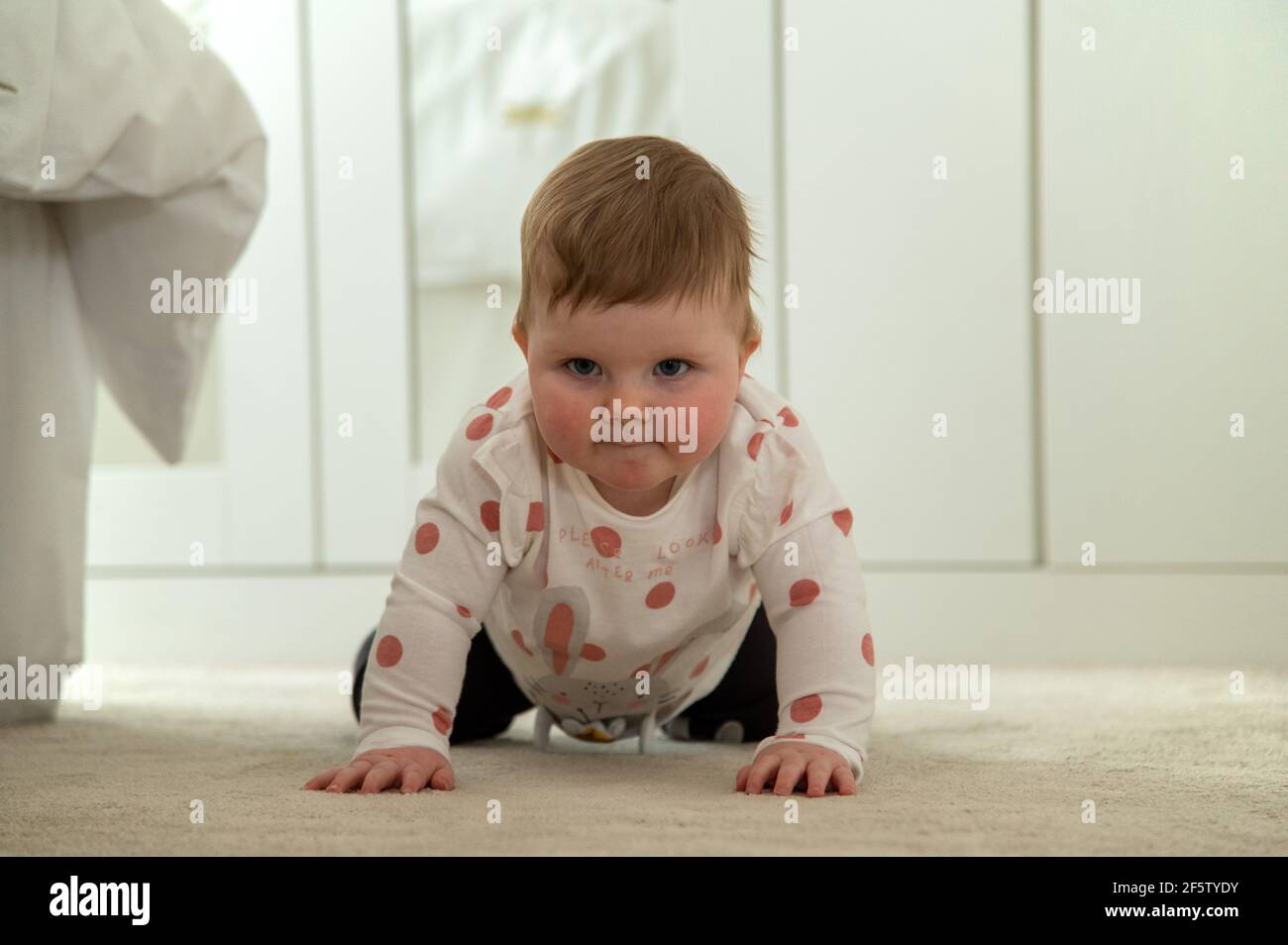 A 10 month old baby learning to crawl on all fours Stock Photo