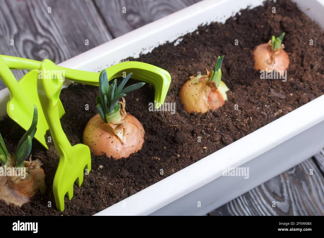 Shovel rake harvest tools hi-res stock photography and images - Alamy
