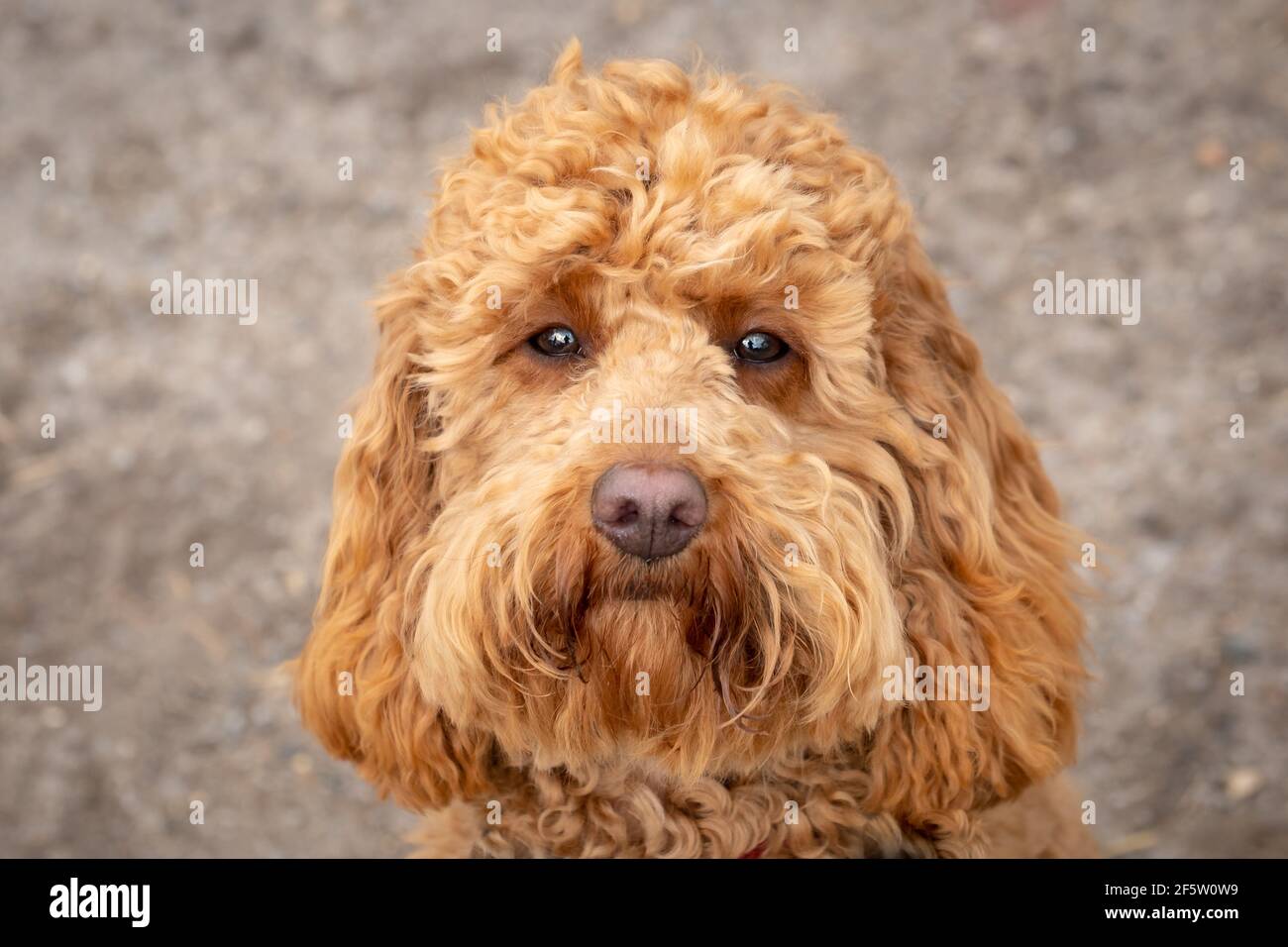 Page 3 Friend Doodle High Resolution Stock Photography And Images Alamy