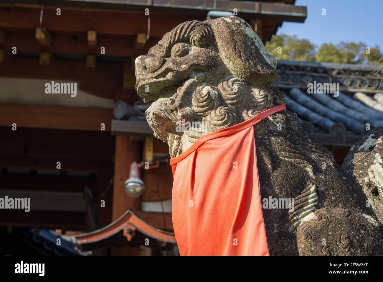 A komainu liondog statue guarding the entrance to Himuro Jinja shinto