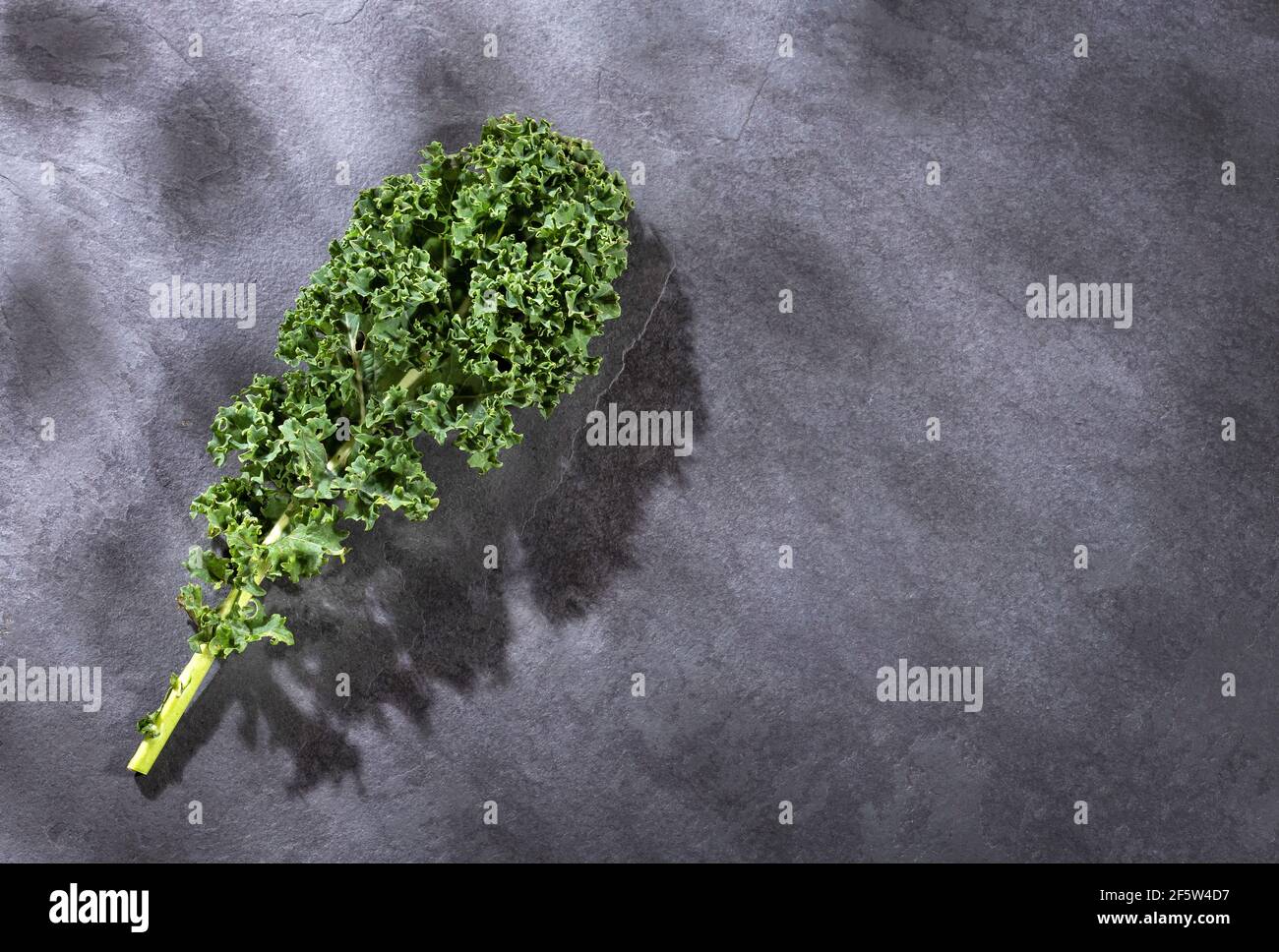 Organic curly kale leaf - Brassica oleracea var Stock Photo