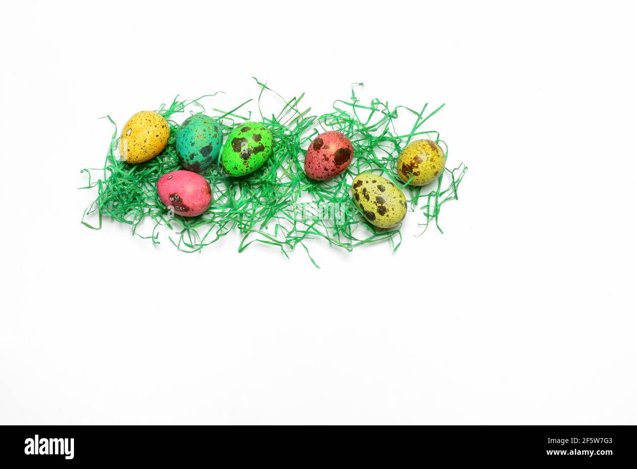Colored quail eggs with decorative grass, Easter eggs, Germany Stock Photo