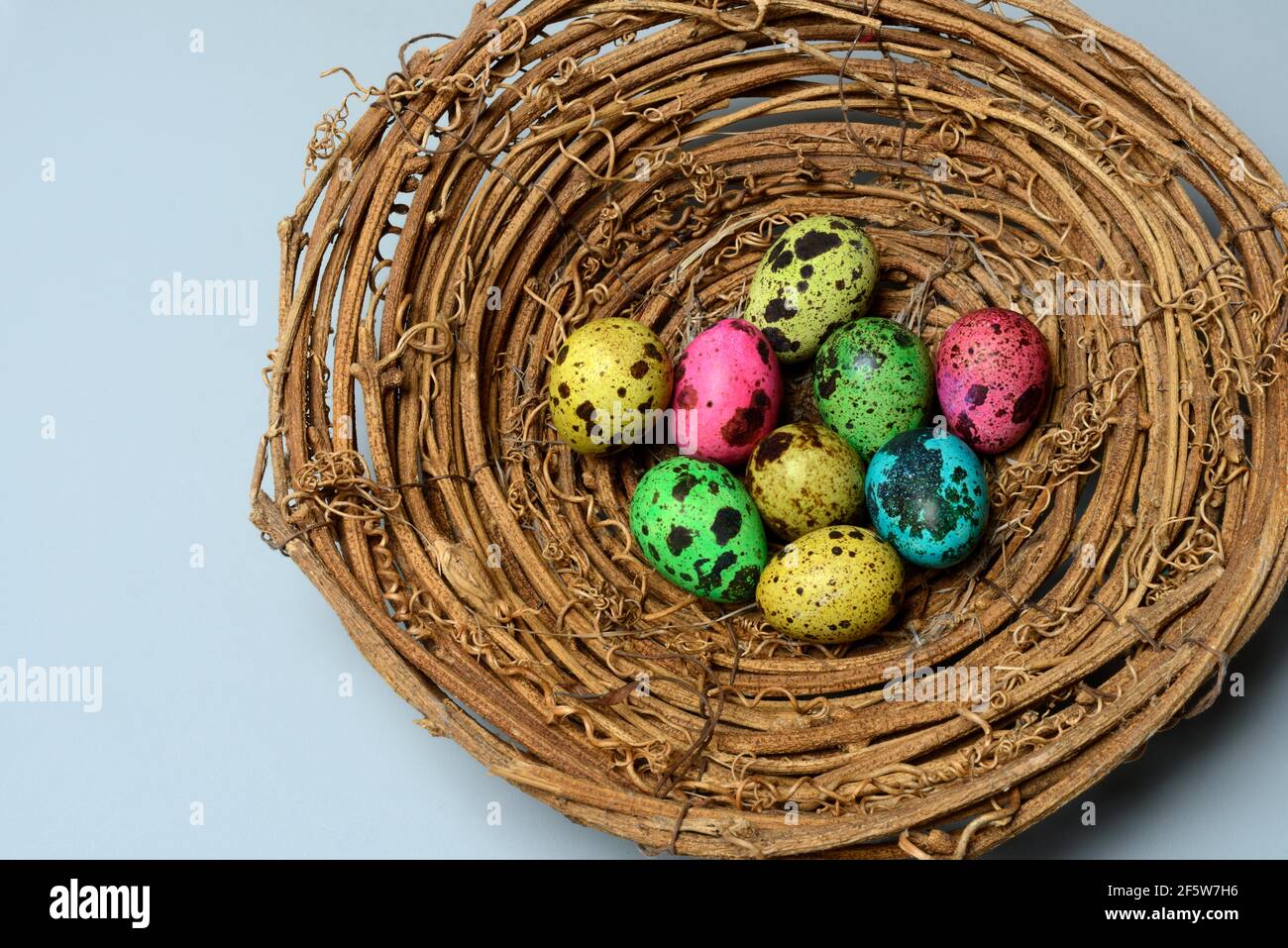 Colored quail eggs in nest, Easter eggs, Germany Stock Photo