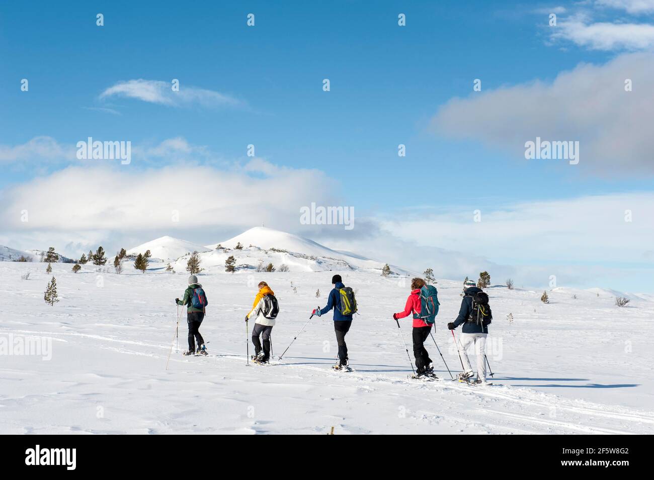 Walking behind each other hi-res stock photography and images - Alamy