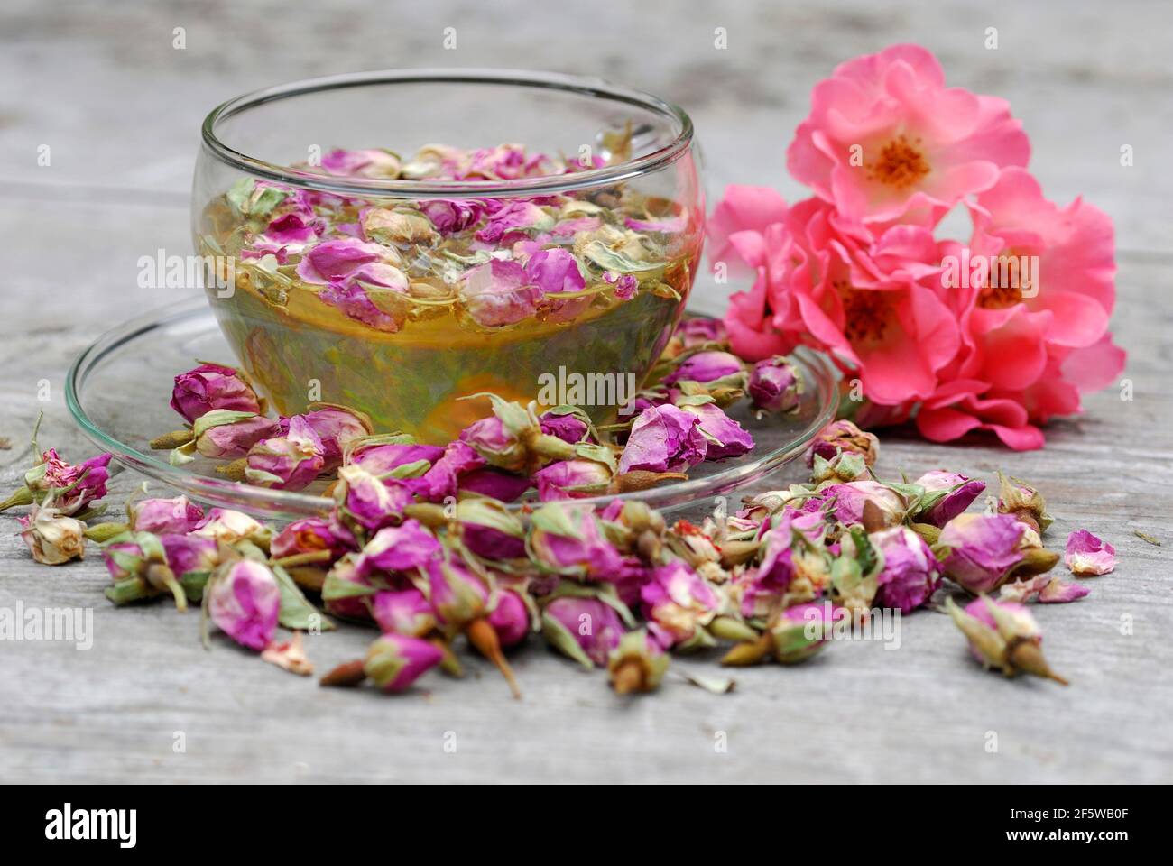 Rose tea in cup and rose buds, rose petals, rose blossom tea Stock ...