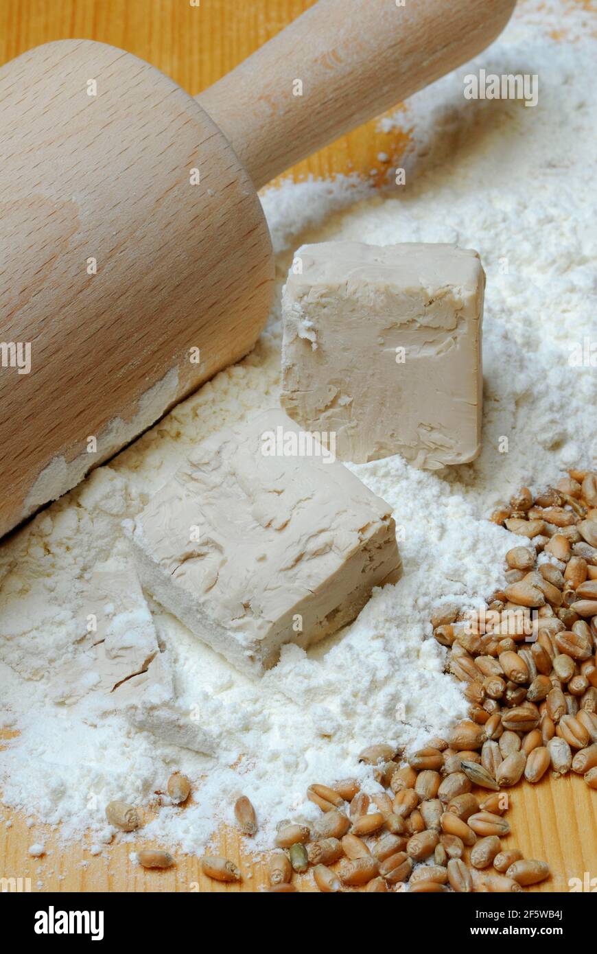 True yeast hires stock photography and images Alamy