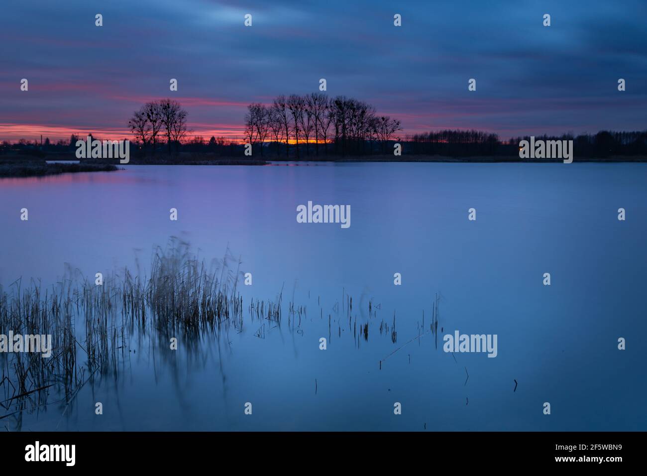 Dark evening clouds after sunset and reeds blown away from the wind on the lake Stock Photo Alamy Dark evening clouds after sunset and reeds blown away from the wind on the lake Stock Photo Alamy