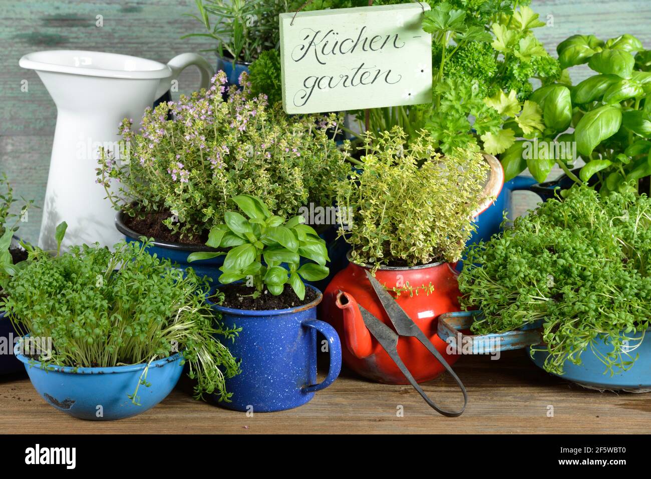 Various herbs in old bowls and cups, parsley (Petroselinum crispum), rosemary, cress, basil (Ocimum basilicum), thyme (Lepidium sativum) (Thymus Stock Photo