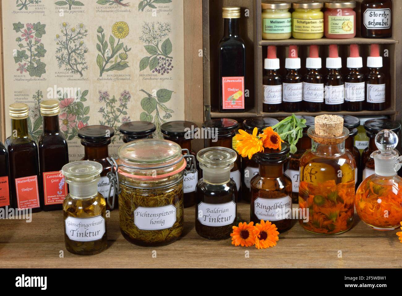 Various (tincture) en, ointments, teas Stock Photo