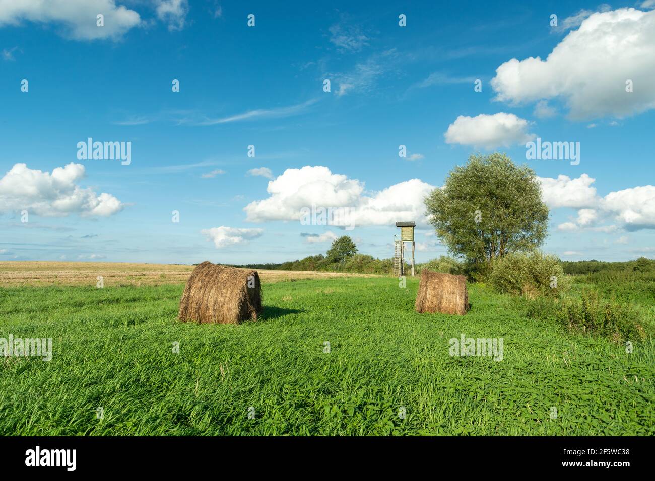 Hay bales on a meadow and blue sky Stock Photo