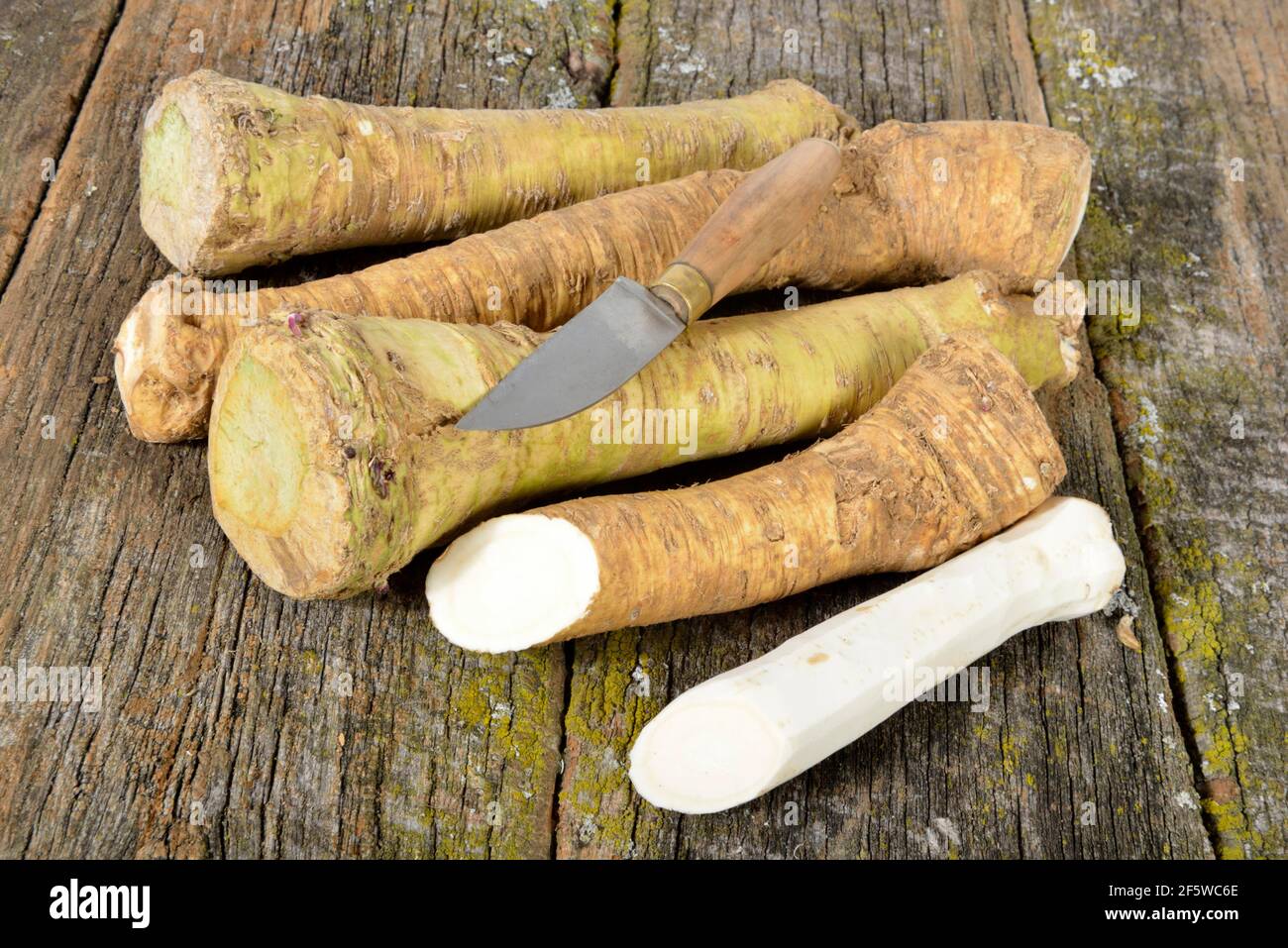 Horseradish (Cochlearia armoracia Stock Photo Alamy