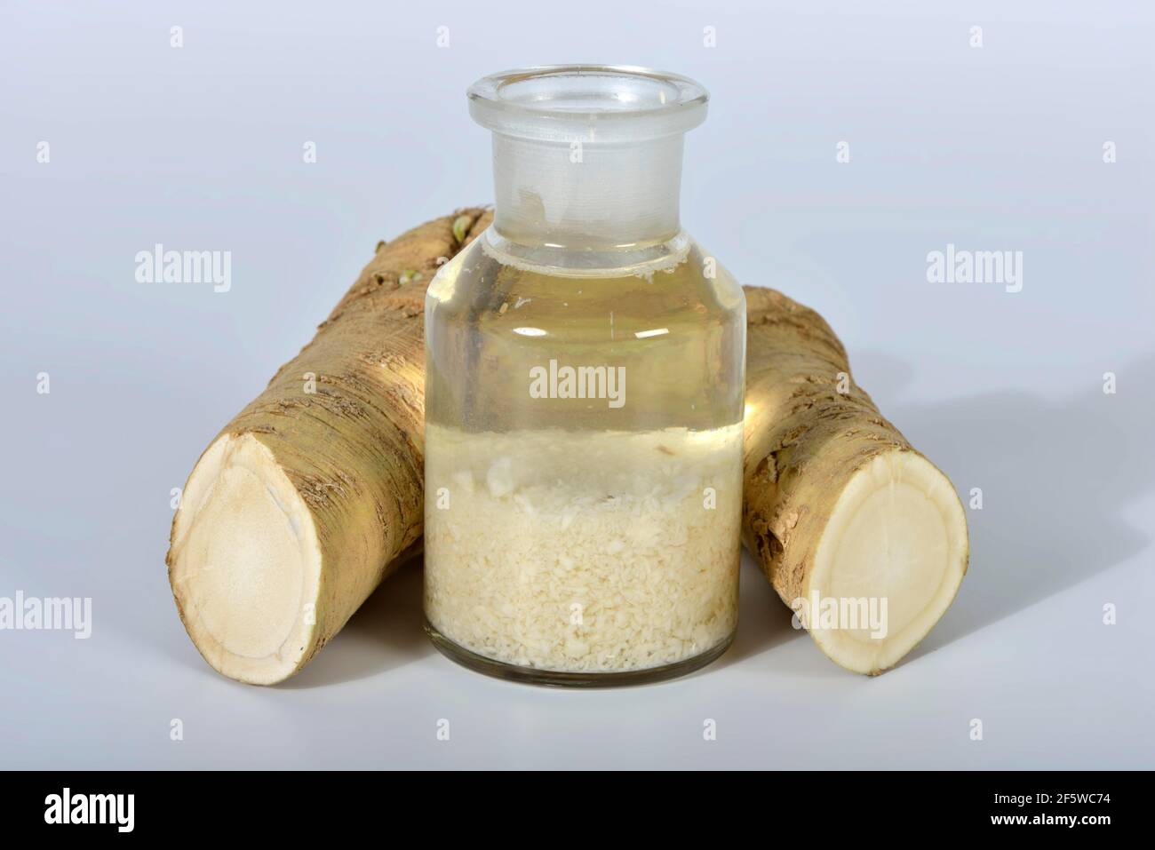 Production of horseradish tincture (Cochlearia armoracia), horseradish