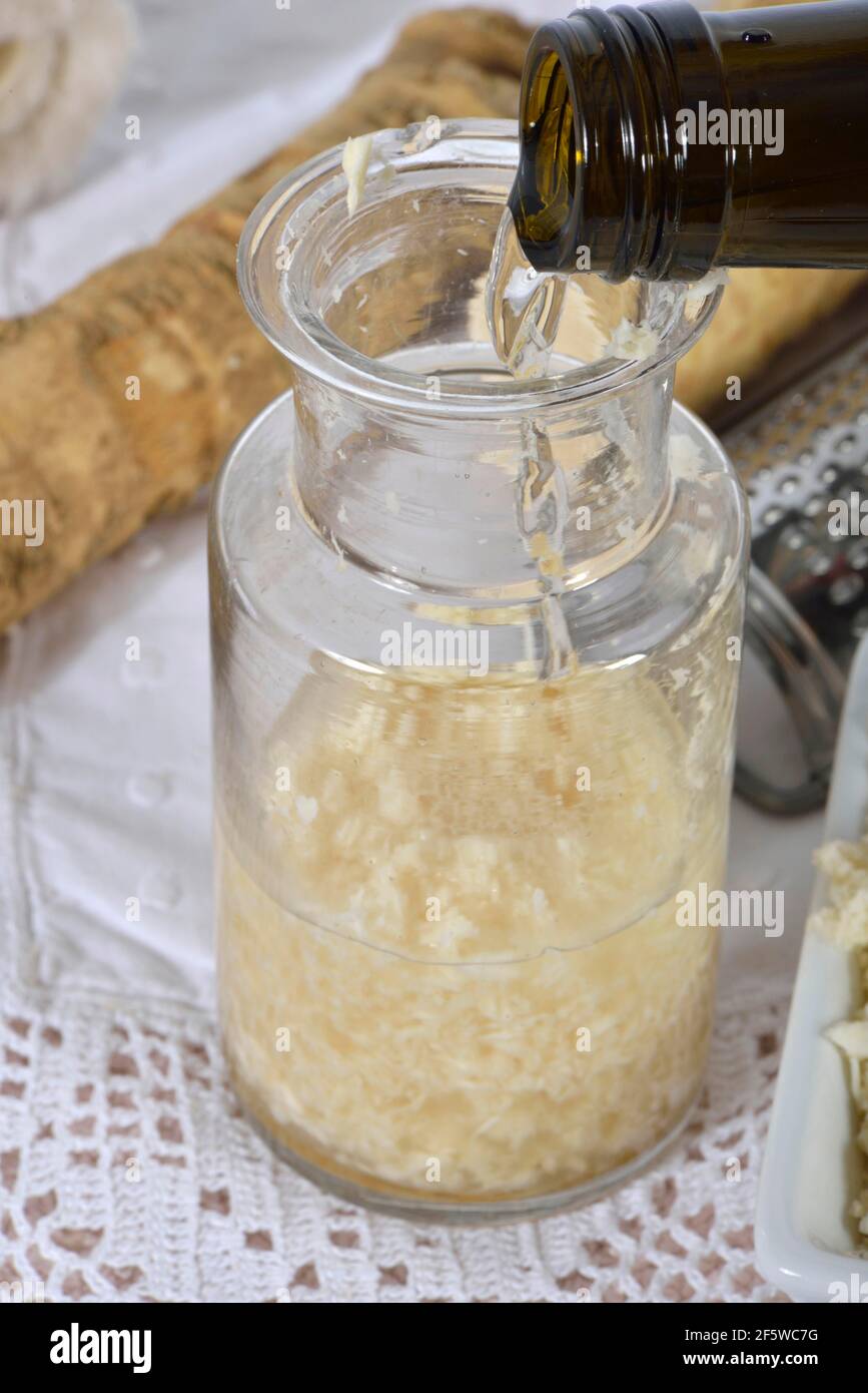Production Horseradish wine (Cochlearia armoracia), horseradish Stock