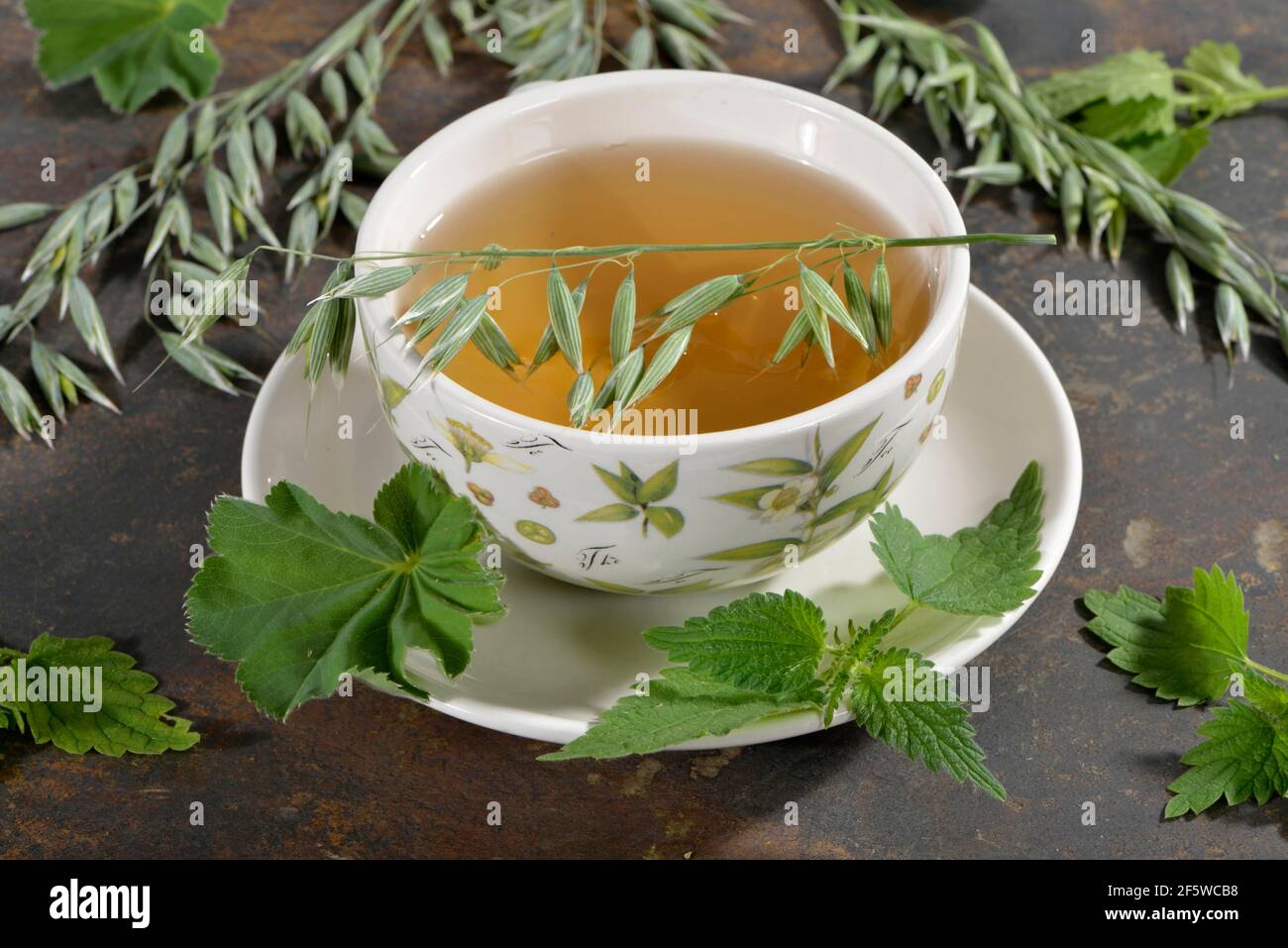 Oat herb, oat straw, nettle, Alpine lady's mantle (Avena sativa) (Urtica dioica) (Alchemilla alpina), green oat tea Stock Photo