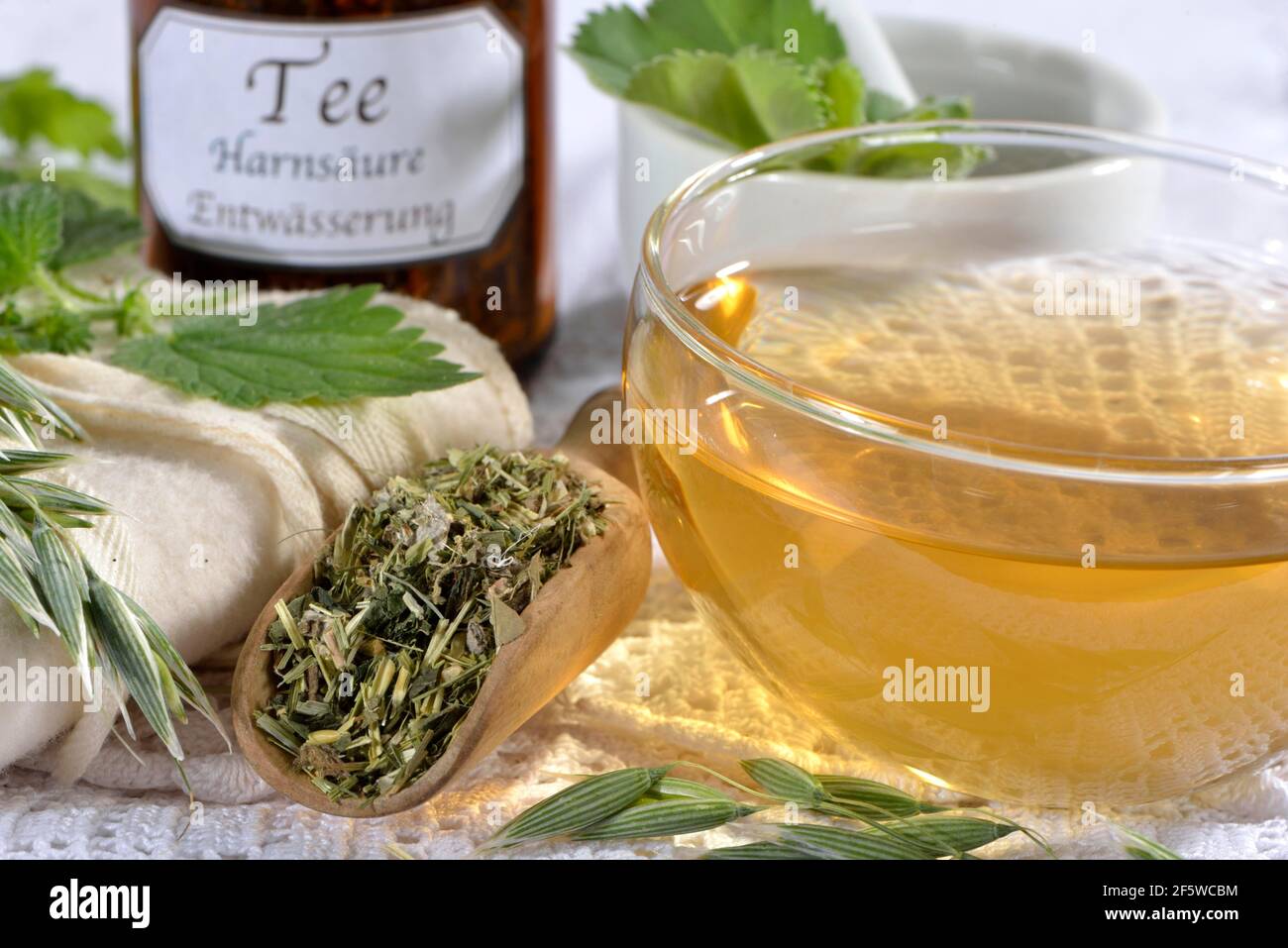 Oat herb, oat straw, nettle, Alpine lady's mantle (Avena sativa) (Urtica dioica) (Alchemilla alpina), green oat tea Stock Photo