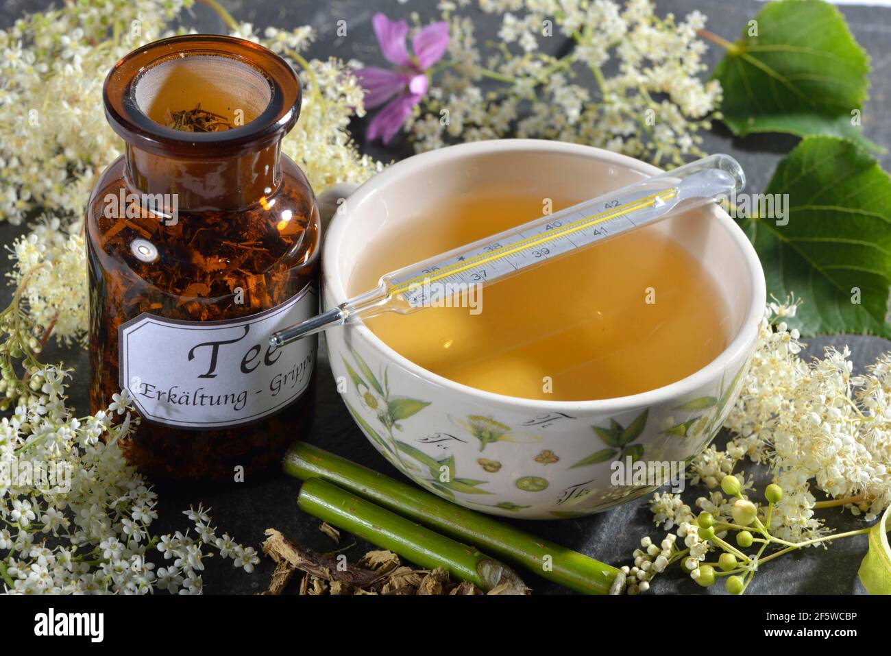 Cold and flu tea, lime blossom, elderflower (Sambucus nigra) meadowsweet, meadowsweet, liquorice root (Glycyrrhiza glabra), liquorice, mallow blossom Stock Photo