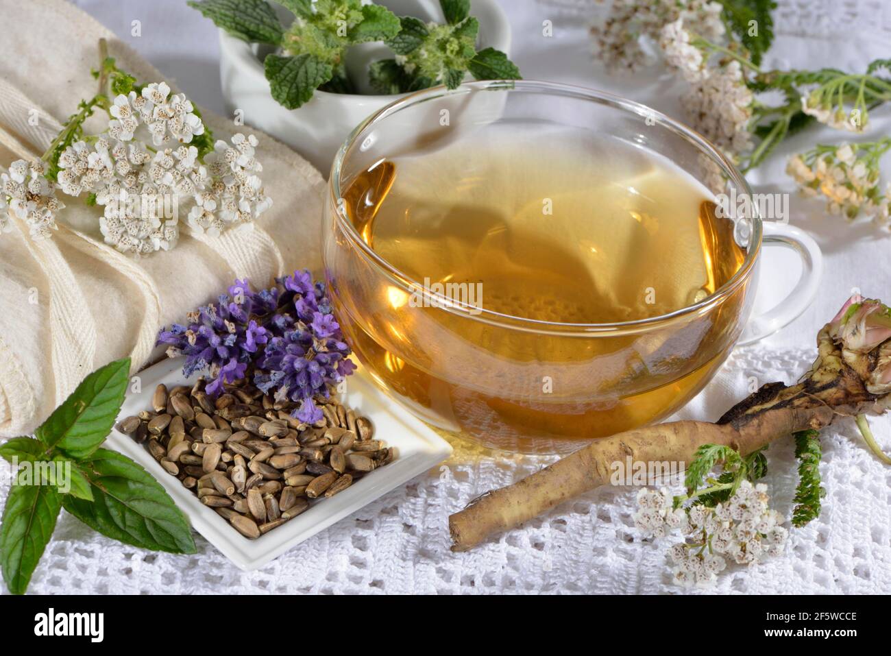 Liver and gall tea (dandelion root) Lavender flowers, milk thistle fruit (Silybum marianum), peppermint leaves, peppermint, yarrow, horehound Stock Photo