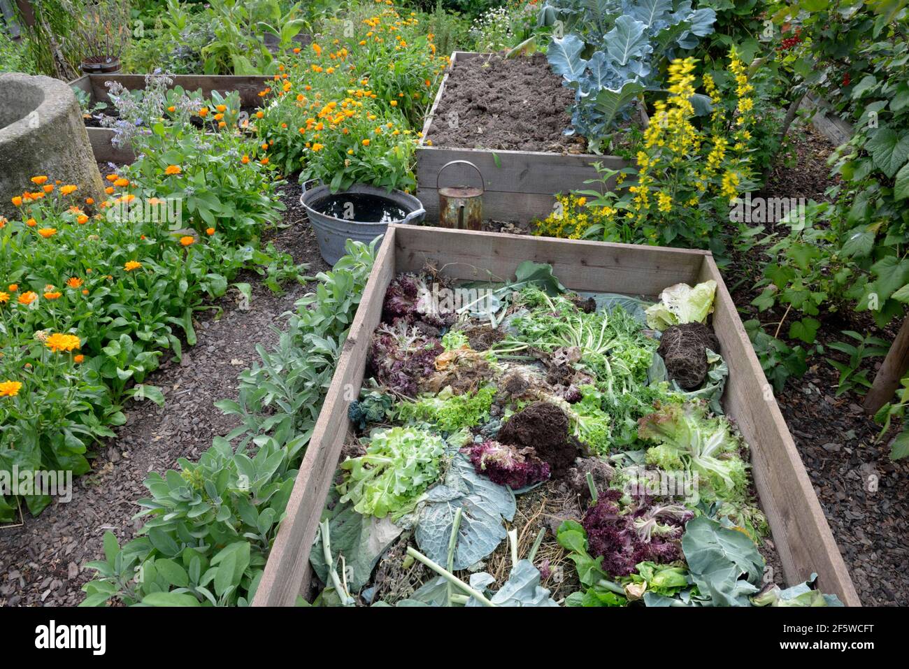 https://c8.alamy.com/comp/2F5WCFT/composting-in-the-frame-bed-compost-compost-box-2F5WCFT.jpg
