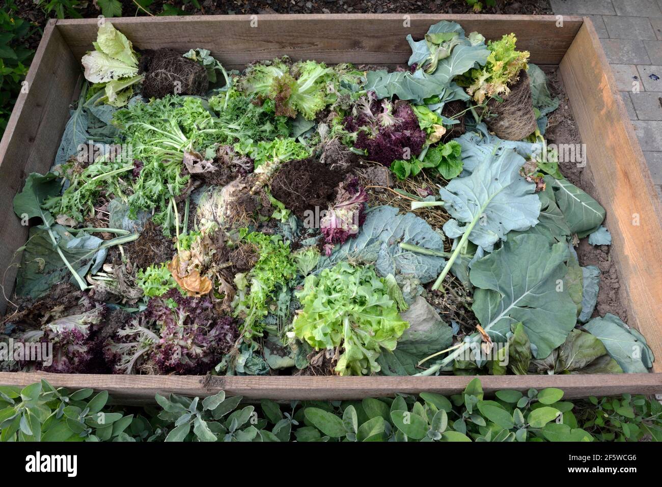 Composting in the frame bed, compost, compost box Stock Photo Alamy
