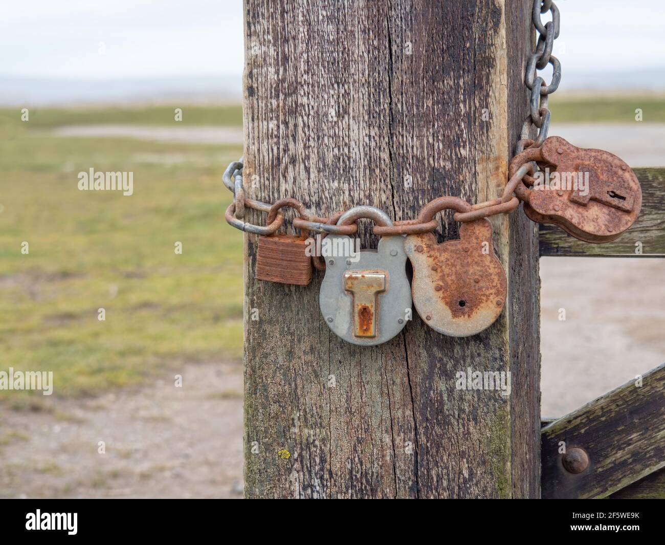 Rusty chain and and many old padlocks on a gate. Closeup. Stock Photo