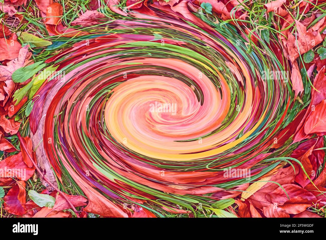 Abstract Autumn leaves in colour Stock Photo - Alamy