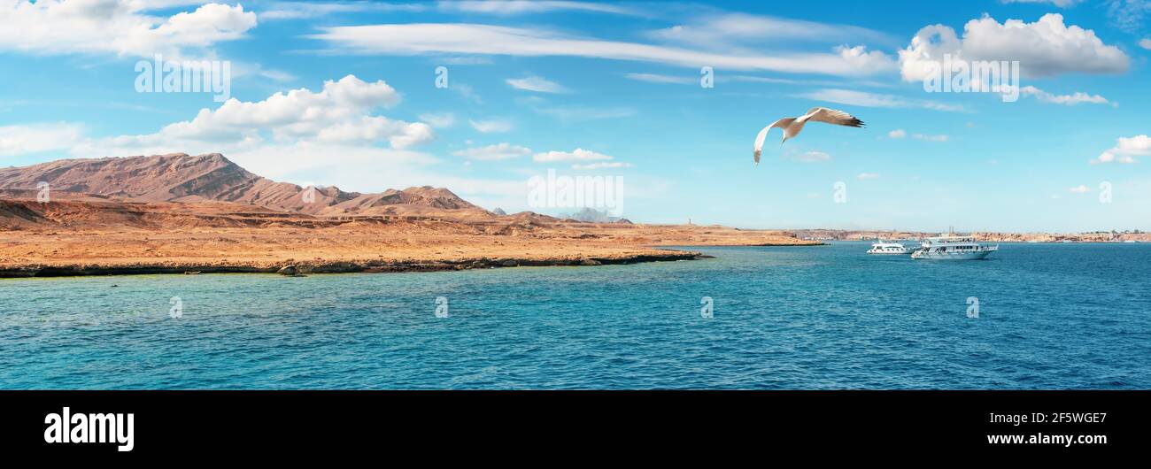 View on egyptian coast from the red sea Stock Photo