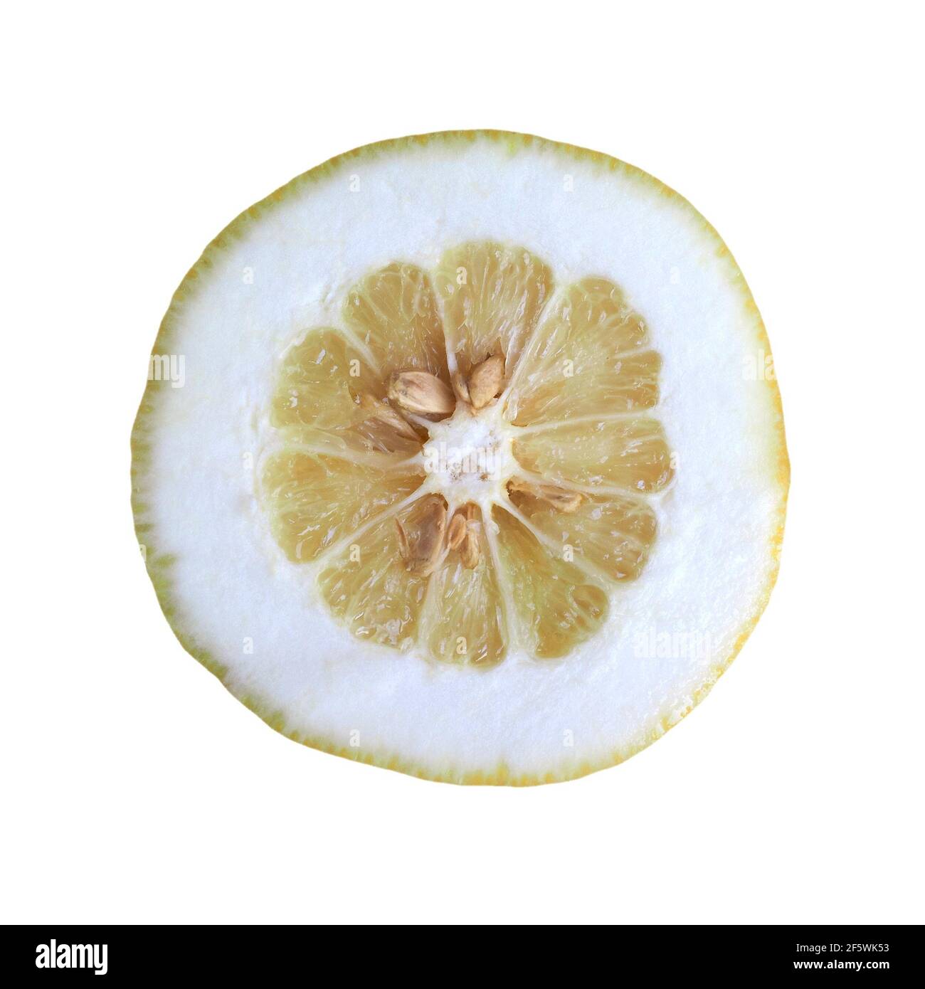 citron (scientific name Citrus Medica citrus) vegetarian fruit food