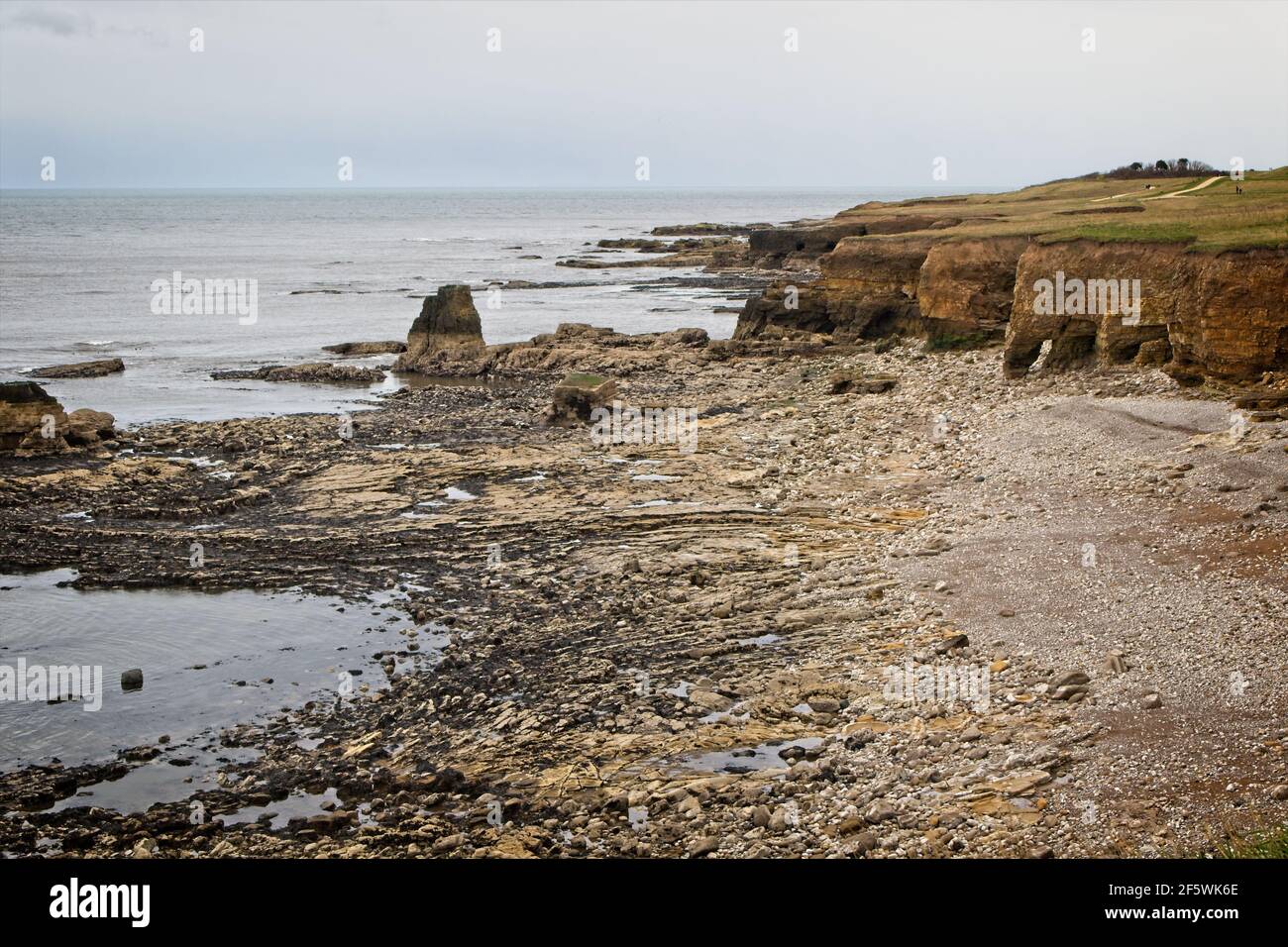 Looking south down the North Sea coast from near the Souter Lighthouse showing the pebbly, rocky beach and cliff faces. Stock Photo
