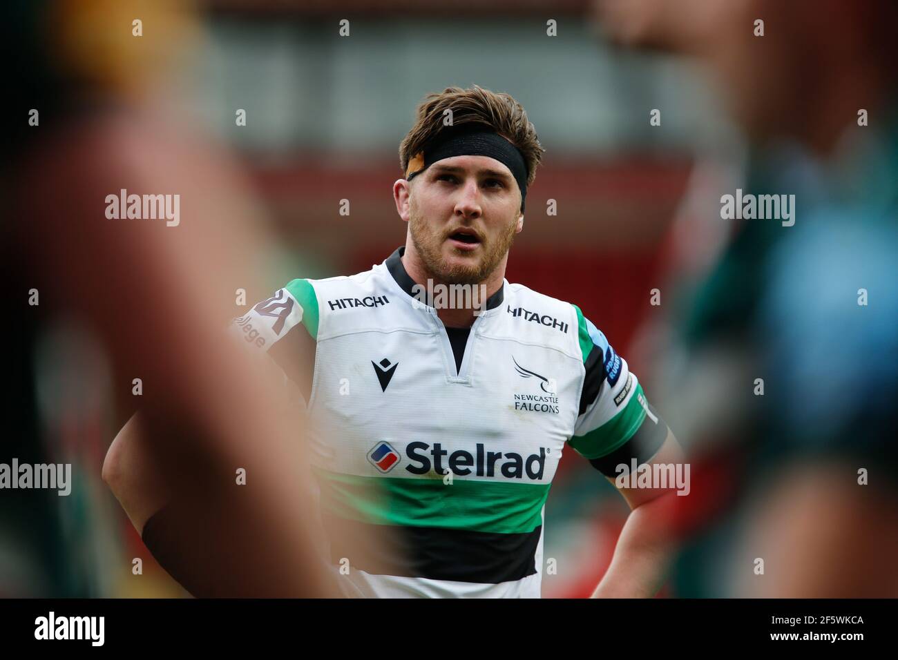 Leicester, UK. 20th Mar, 2021. LEICESTER, ENGLAND. MARCH 28TH: Sean Robinson of Newcastle Falcons looks on during the Gallagher Premiership match between Leicester Tigers and Newcastle Falcons at Welford Road, Leicester on Sunday 28th March 2021. (Credit: Chris Lishman | MI News) Credit: MI News & Sport /Alamy Live News Stock Photo