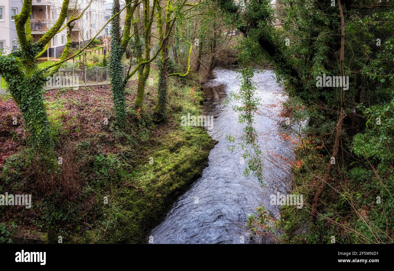 The West Okement River, flowing towards a junction with the East