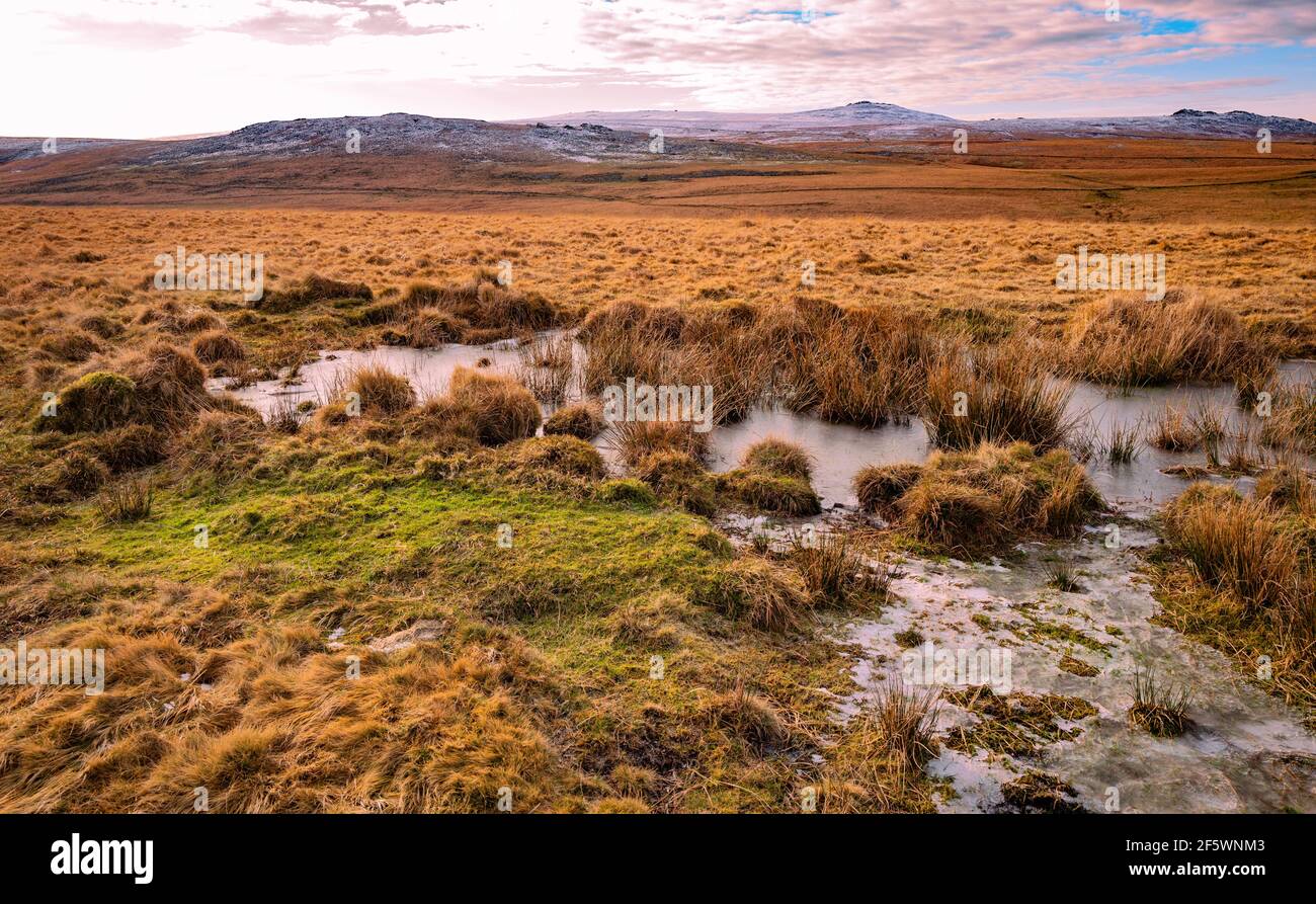 A rainfall pond on the ridge running between Oke Tor and Belstone Tors, Dartmoor National Park, Devon, England, UK. Stock Photo