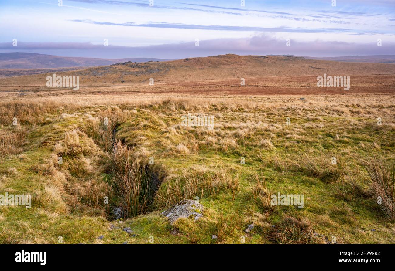 A view of East Mill Tor, seen from the lower slopes of Yes Tor, Dartmoor National Park, Devon, England, UK. Stock Photo