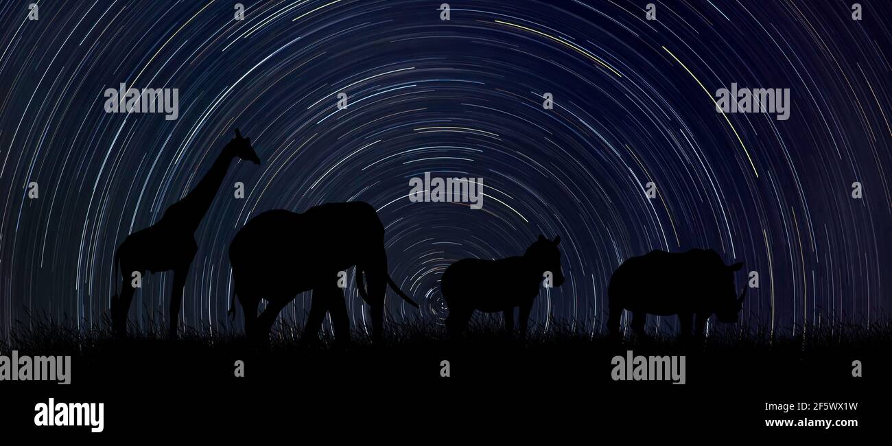 Silhouette of african animals at night with startrail in the background Stock Photo