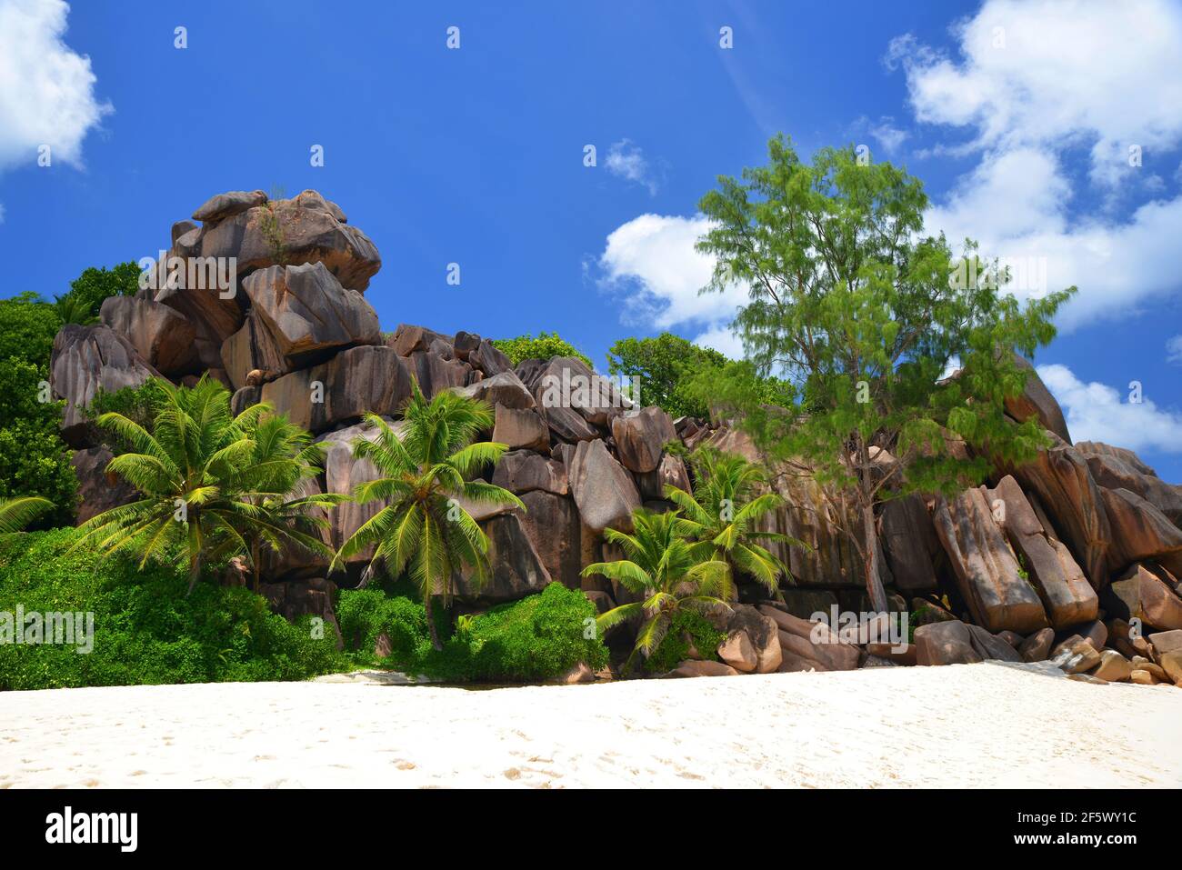 Grande Anse beach in La Digue Island, Indian Ocean, Seychelles. Tropical travel destination. Stock Photo
