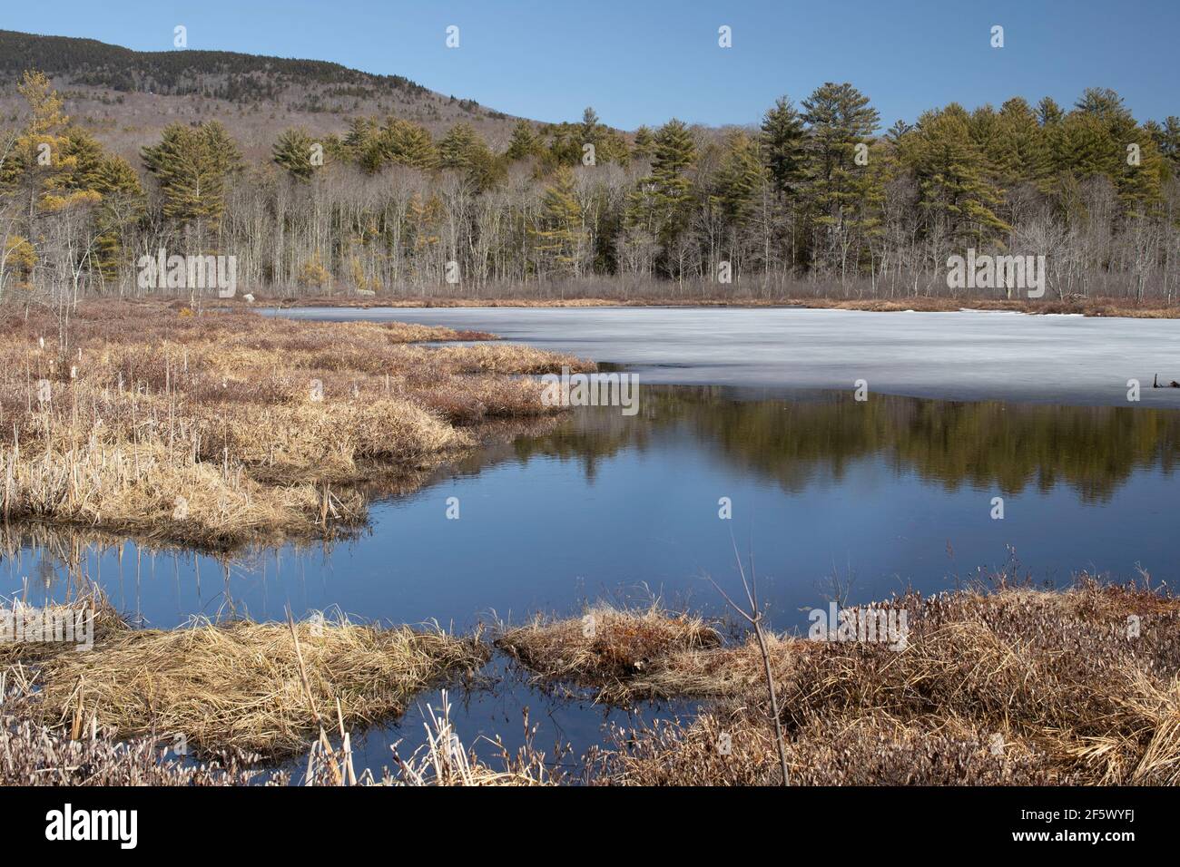 Small pond in Southwestern New Hampshire in town of Troy. Located just