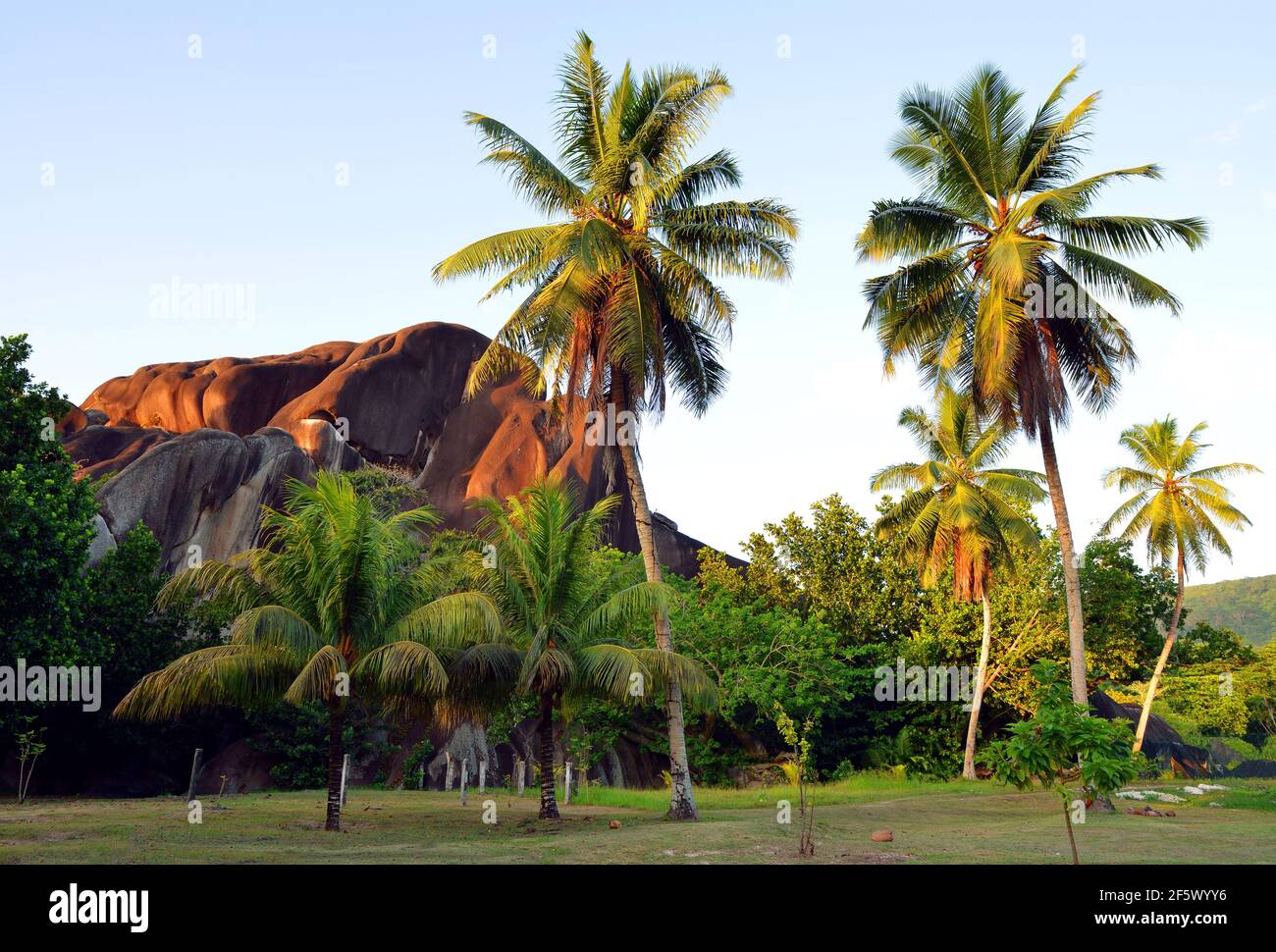 Tropical landscape with coconut palm trees. La Digue island, Indian Ocean, Seychelles. Stock Photo
